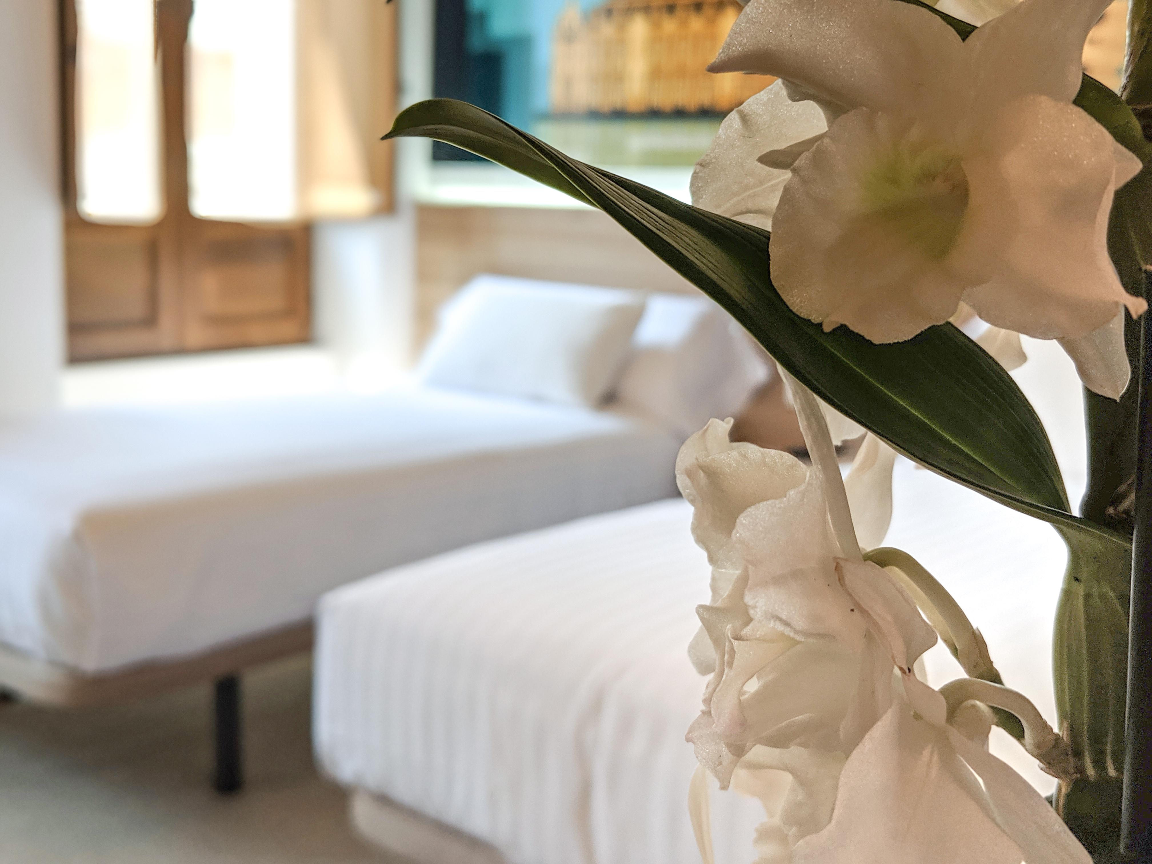 Original Domino House Hotel Valencia Ngoại thất bức ảnh